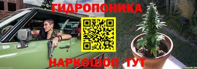 шишки Абакан