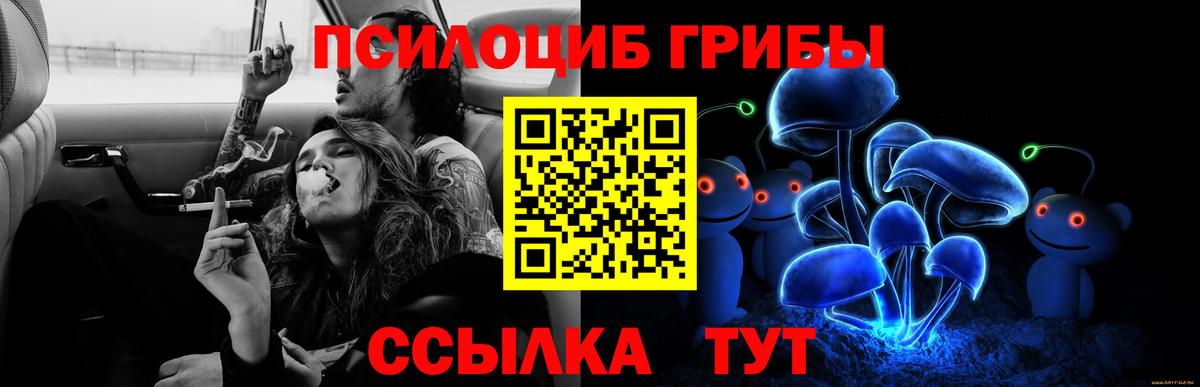 Псилоцибиновые грибы Magic Shrooms  Псилоцибиновые грибы MAGIC MUSHROOMS  Вход с VPN  Алексеевка 